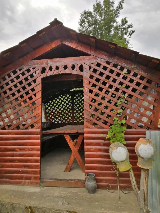 У Катерини Villa Dvozhets Eksteriør billede